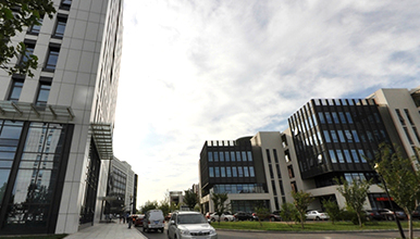 成县抛沙镇农业科技示范园区